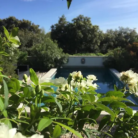 Les Santolines - Retro * Aigaliers