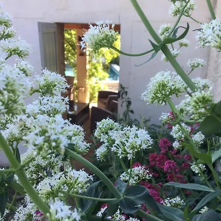 Les Santolines - Retro Lejlighed *