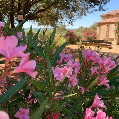 Les Santolines - Retro *