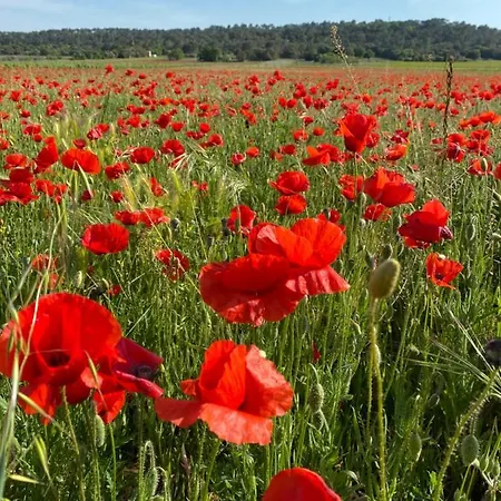 Les Santolines - Retro Lejlighed Aigaliers