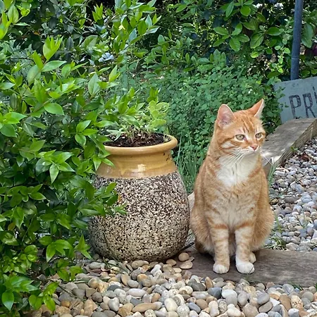 Lejlighed Les Santolines - Retro