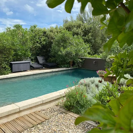 Les Santolines - Retro Lejlighed