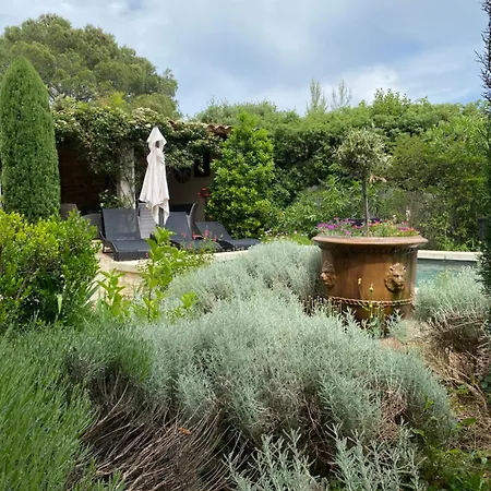 Les Santolines - Retro *